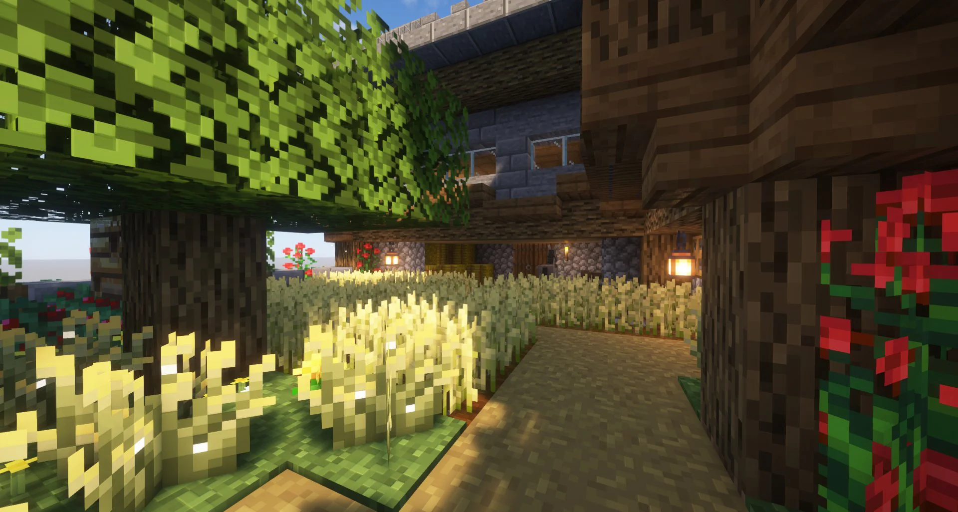 Thumbnail 11
