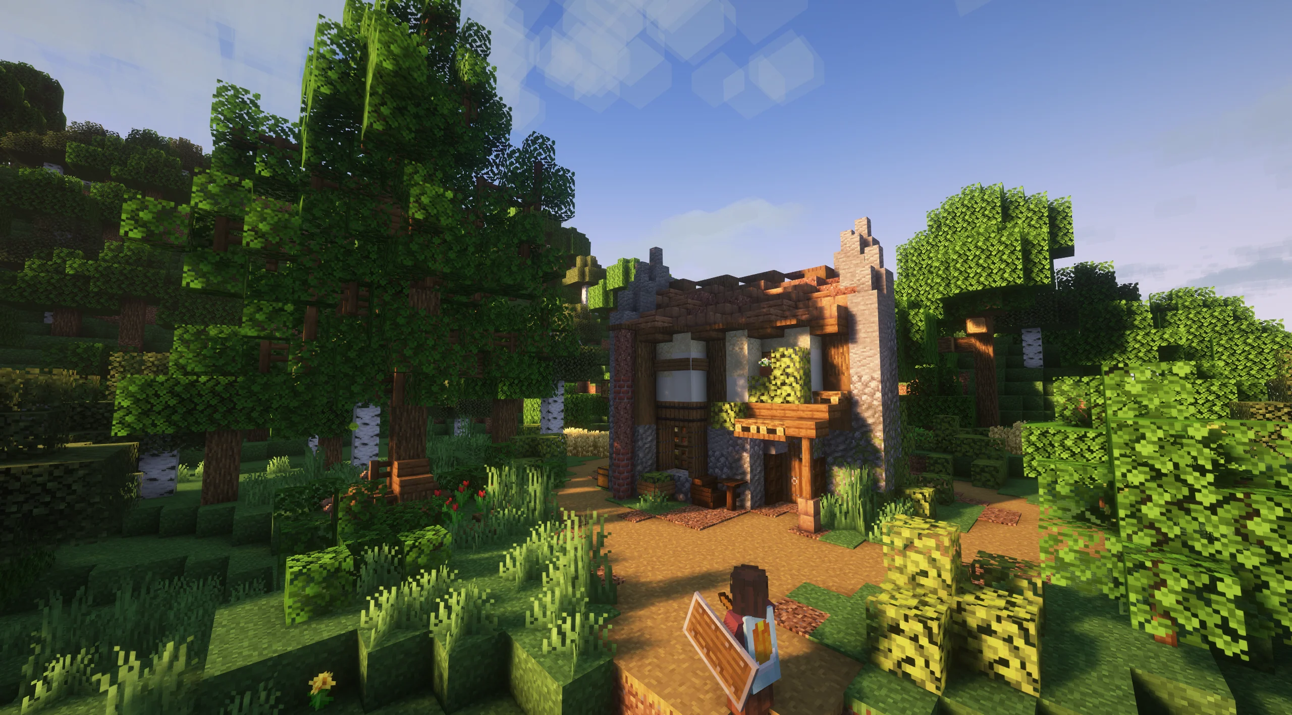 Thumbnail 12